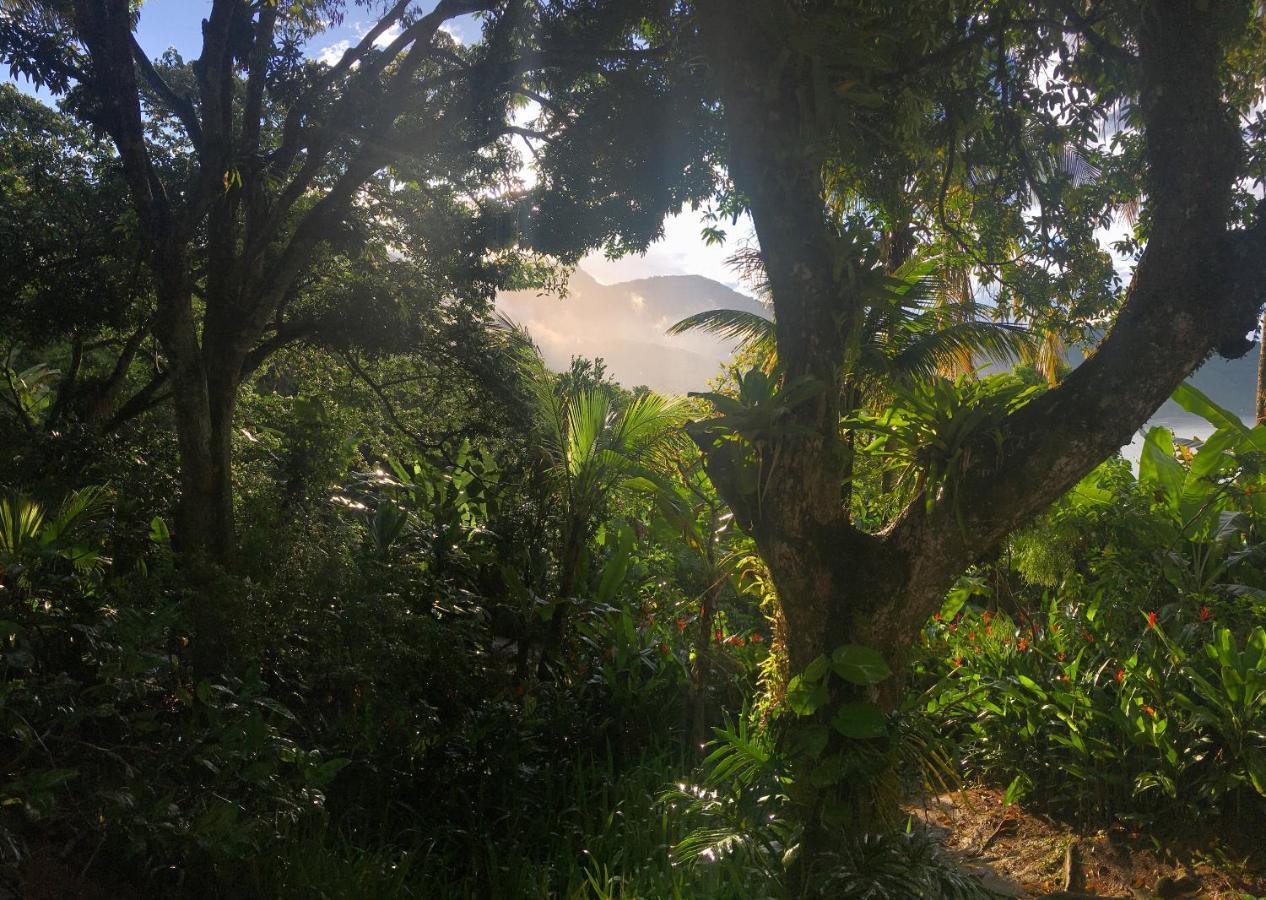 Jungle Lodge Vila do Abraao Luaran gambar