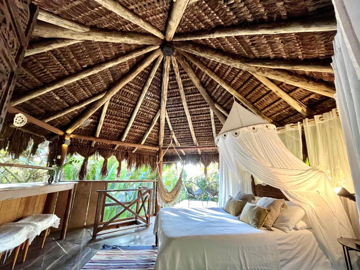 Jungle Lodge Vila do Abraao Luaran gambar