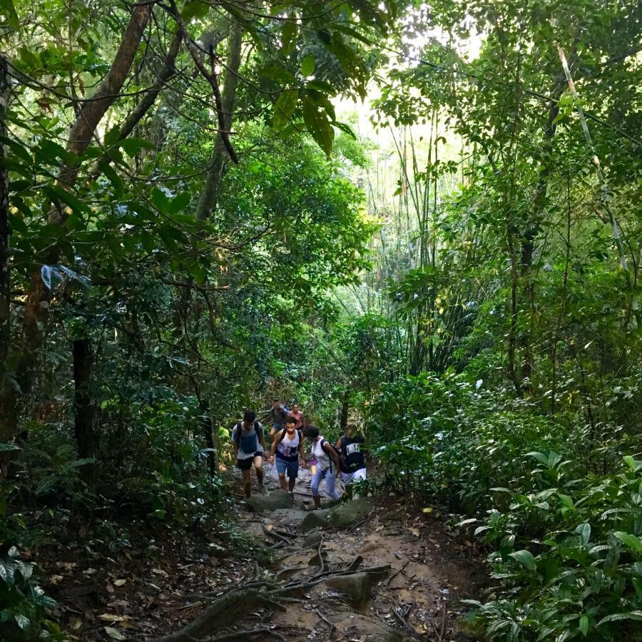 Jungle Lodge Vila do Abraao Luaran gambar