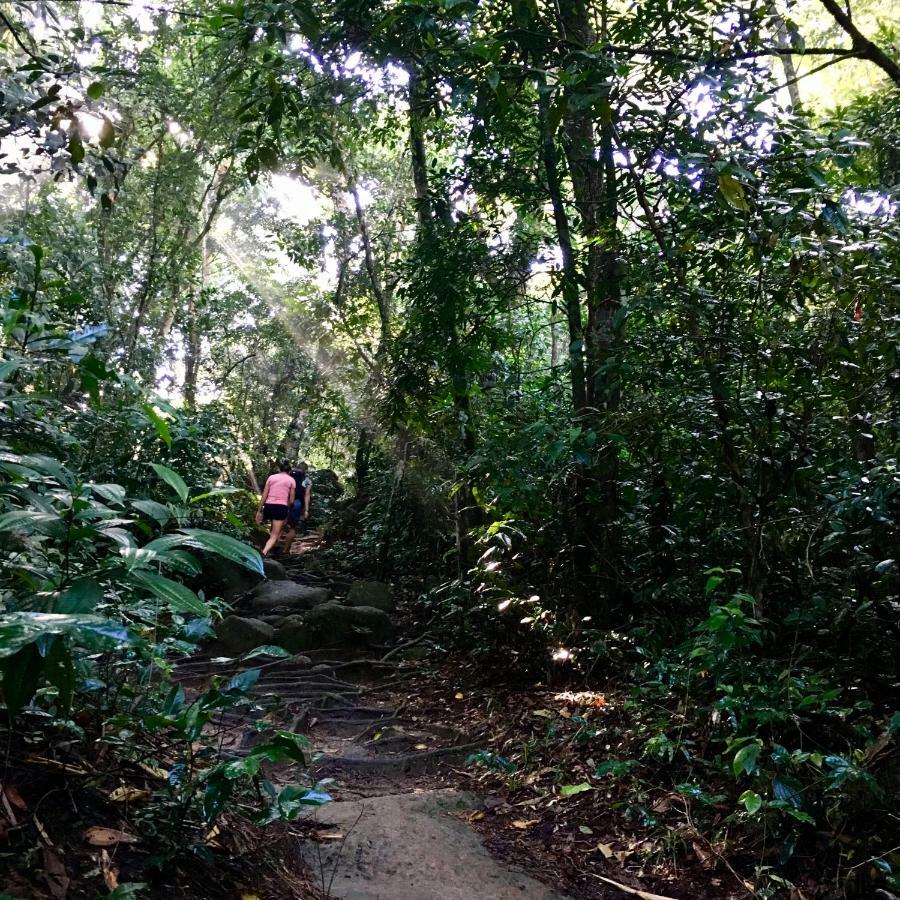 Jungle Lodge Vila do Abraao Luaran gambar