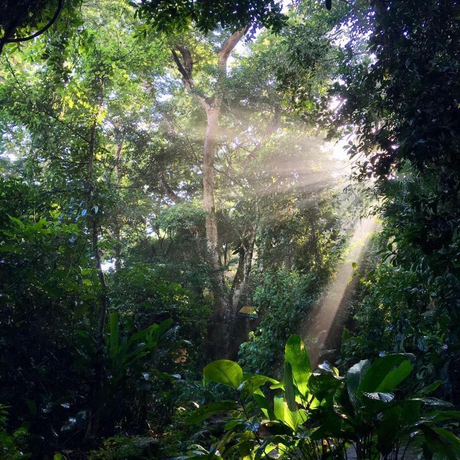 Jungle Lodge Vila do Abraao Luaran gambar
