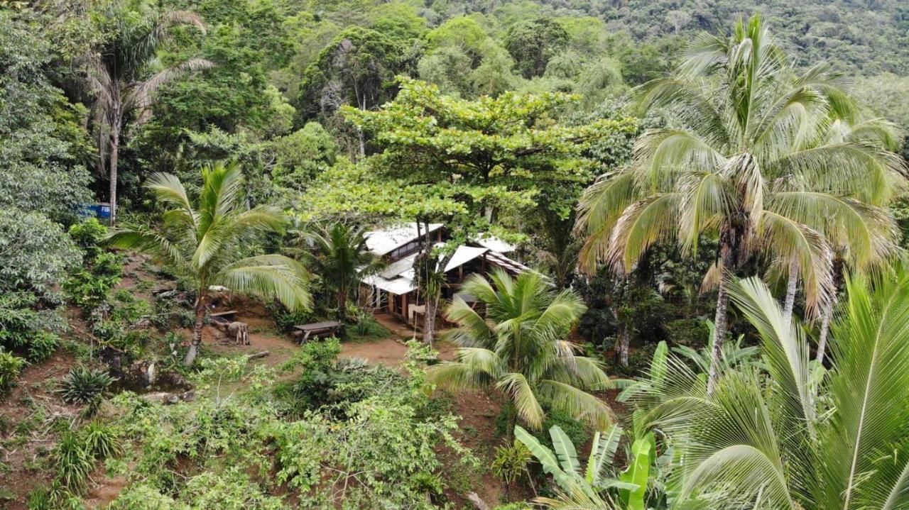 Jungle Lodge Vila do Abraao Luaran gambar